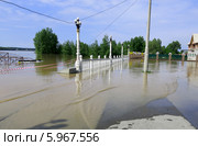 Паводок на Алтае. Уровень реки воды достиг максимума 711 см. Бийск. Алтайский край (01.06.2014) Стоковое фото, фотограф Chere / Фотобанк Лори