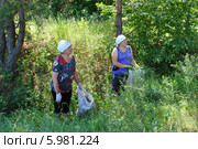 Женщины убирают лес (2014 год). Редакционное фото, фотограф Ольга Забрускова / Фотобанк Лори