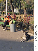 Пожилая собака в парке (2010 год). Редакционное фото, фотограф Галина  Горбунова / Фотобанк Лори