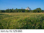 Город Арзамас. Выездновские луга с видом на Воскресенский собор (2014 год). Стоковое фото, фотограф Аркадий Рыпин / Фотобанк Лори