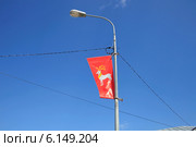 Ростов Великий. Уличный фонарь на фоне голубого неба и флаг с символом города (2014 год). Стоковое фото, фотограф Яна Королёва / Фотобанк Лори