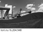 Крутонаклонный консольный штабелер на гусеничном ходу для перевалки угля (2014 год). Редакционное фото, фотограф Валерий Акулич / Фотобанк Лори