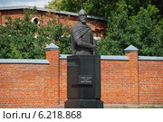 Памятник спасителю отечества воеводе Зарайска князю Дмитрию Пожарскому, город Зарайск (2011 год). Редакционное фото, фотограф lana1501 / Фотобанк Лори