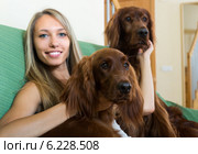 Girl with two Irish setters at home. Стоковое фото, фотограф Яков Филимонов / Фотобанк Лори