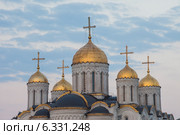Россия. Золотое кольцо. Город Владимир. Купола  Успенского собора (2014 год). Редакционное фото, фотограф Литвяк Игорь / Фотобанк Лори