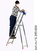 Tradeswoman. Стоковое фото, фотограф Phovoir Images / Фотобанк Лори
