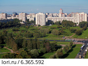 Санкт-Петербург. Парк Строителей в Весёлом посёлке (2014 год). Стоковое фото, фотограф Александр Тарасенков / Фотобанк Лори