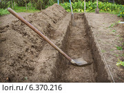 Выкопана траншея для устройства глубокой грядки. Стоковое фото, фотограф Александр Романов / Фотобанк Лори
