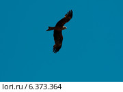 Kite flying against a clear blue sky. Стоковое фото, агентство Ingram Publishing / Фотобанк Лори