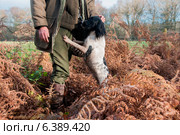 In the Countryside. Стоковое фото, агентство Ingram Publishing / Фотобанк Лори