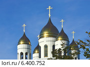 Купола храма Христа Спасителя. Калининград (до 1946 года Кёнигсберг), Россия (2012 год). Стоковое фото, фотограф Сергей Трофименко / Фотобанк Лори