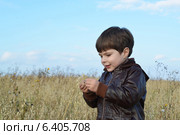 Мальчик в поле овса. Стоковое фото, фотограф Ирина Ращектаева / Фотобанк Лори