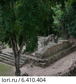 Ruins at an archaeological site, Copan, Copan Ruinas, Copan Department, Honduras (2013 год). Стоковое фото, агентство Ingram Publishing / Фотобанк Лори