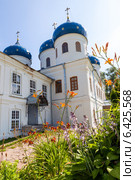 Купола Юрьева монастыря в Великом Новгороде. Стоковое фото, фотограф FotograFF / Фотобанк Лори
