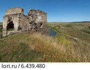 Руины замка (XV-XVII вв.) возле с. Жванец (2014 год). Стоковое фото, фотограф Онищенко Виктор / Фотобанк Лори