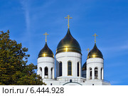Купола храма Христа Спасителя. Калининград, Россия (2014 год). Стоковое фото, фотограф Сергей Трофименко / Фотобанк Лори