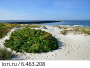 Берег Балтийского моря. Стоковое фото, фотограф Сергей Куров / Фотобанк Лори