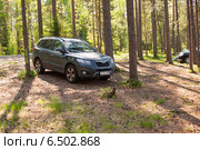 Полноприводный внедорожник Hyundai Santa Fe стоит в сосновом лесу (2014 год). Редакционное фото, фотограф Сергей Дубров / Фотобанк Лори