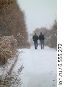 Первый снег. Стоковое фото, фотограф Евгения Кирильченко / Фотобанк Лори