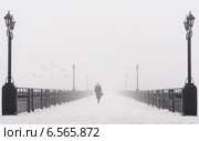 Мост, городской пейзаж в туманный снежный зимний день. Стоковое фото, фотограф Елена Кирьян / Фотобанк Лори