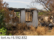 Разрушенный дом, село Степановка (2014 год). Стоковое фото, фотограф Копылов Сергей / Фотобанк Лори