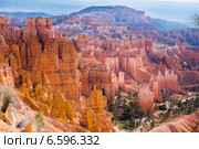 Лес скал.  Национальный парк Брайс-Каньон (англ. Bryce Canyon National Park) (2014 год). Стоковое фото, фотограф Ирина Кожемякина / Фотобанк Лори