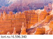 Посетители идут по тропе в национальном парке Брайс-Каньон (англ. Bryce Canyon National Park) (2014 год). Стоковое фото, фотограф Ирина Кожемякина / Фотобанк Лори