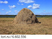 Стожок сена. Стоковое фото, фотограф Анатолий Матвейчук / Фотобанк Лори