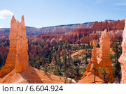 Шпили и башенки в  национальном парке Брайс-Каньон (англ. Bryce Canyon National Park) (2014 год). Стоковое фото, фотограф Ирина Кожемякина / Фотобанк Лори