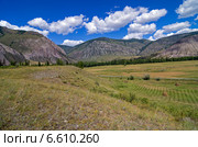 Сенокос в долине реки Чуя, Алтай. Стоковое фото, фотограф Сергей Рыбин / Фотобанк Лори