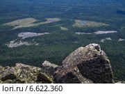 Вид на бесконечный сосновый лес с Большого Иремеля. Стоковое фото, фотограф Алексей Шлыков / Фотобанк Лори