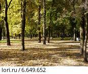 Псков. Городской парк в осенний день (2014 год). Стоковое фото, фотограф Наталия Журавлёва / Фотобанк Лори