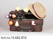 Кот в чемодане. Новогоднее путешествие. Стоковое фото, фотограф Светлана Чуйкова / Фотобанк Лори