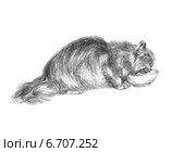 Кошка ест - The cat eating. Стоковая иллюстрация, иллюстратор Марина Ефремова / Фотобанк Лори