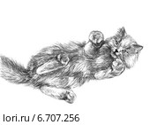 Кошка дурачится - The cat fooling around. Стоковая иллюстрация, иллюстратор Марина Ефремова / Фотобанк Лори