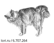 Кошка простила - The cat forgave. Стоковая иллюстрация, иллюстратор Марина Ефремова / Фотобанк Лори