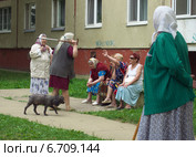 Ссора пенсионерок (2014 год). Редакционное фото, фотограф Вячеслав Палес / Фотобанк Лори