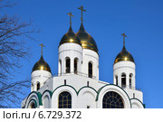 Купола храма Христа Спасителя. Калининград, Россия (2014 год). Стоковое фото, фотограф Сергей Трофименко / Фотобанк Лори