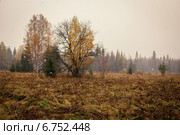 Осень и первый снег. Стоковое фото, фотограф Александр Усик / Фотобанк Лори