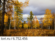 Осень на южном урале. Стоковое фото, фотограф Александр Усик / Фотобанк Лори