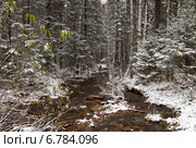 Национальный парк Зюраткуль, река (2014 год). Редакционное фото, фотограф Александр Усик / Фотобанк Лори