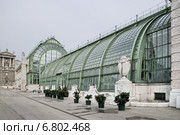 Дом Бабочек (Schmetterlinghaus) в саду дворца Хофбург. Вена. Австрия (2014 год). Редакционное фото, фотограф stargal / Фотобанк Лори