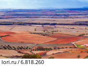 agricultural fields. Стоковое фото, фотограф Яков Филимонов / Фотобанк Лори