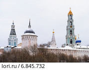 Сергиев Посад. Покрытые инеем купола Троице-Сергиевой лавры зимой (2010 год). Стоковое фото, фотограф Виктор Сагайдашин / Фотобанк Лори