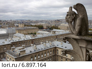 Вид с высоты Нотр-Дам де Пари, Париж, Франция (2011 год). Стоковое фото, фотограф Яна Королёва / Фотобанк Лори