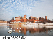 Исторический королевский замок Вавель в Кракове (2014 год). Стоковое фото, фотограф Наталья Волкова / Фотобанк Лори