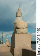 Сфинксы на Университетской набережной в Санкт-Петербурге (2014 год). Стоковое фото, фотограф Виктория Фрадкина / Фотобанк Лори
