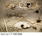 Детский рисунок песком на стекле "Морские обитатели" Стоковое фото, фотограф Светлана Шимкович / Фотобанк Лори