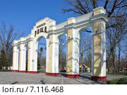 Чистяковская роща в Краснодаре (2015 год). Стоковое фото, фотограф Елена Александрова / Фотобанк Лори