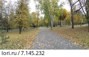 Осень в городском парке. Стоковое видео, видеограф Mikhail Erguine / Фотобанк Лори